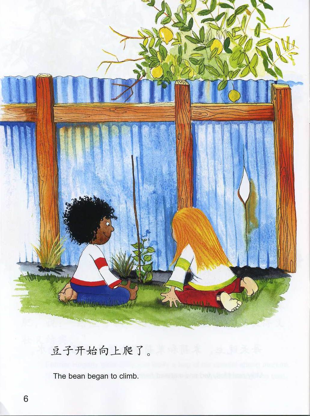 会爬的豆子 (07),绘本,绘本故事,绘本阅读,故事书,童书,图画书,课外阅读